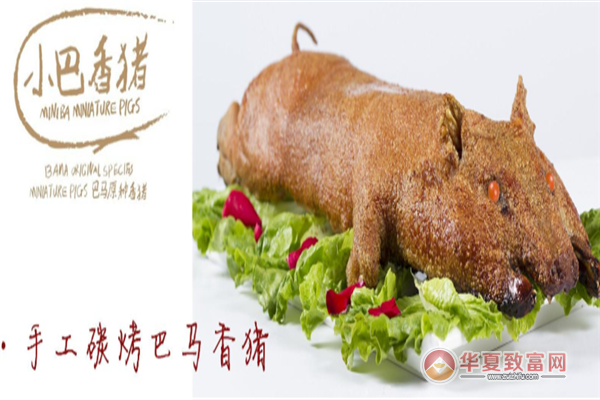 巴马烤香猪加盟